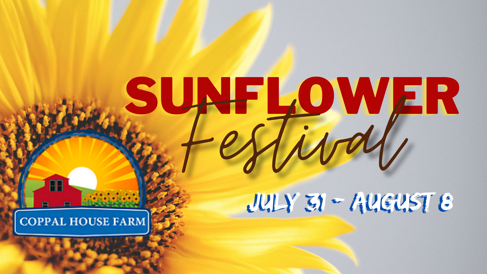 Win a 4-Pack of Tickets to the Sunflower Festival