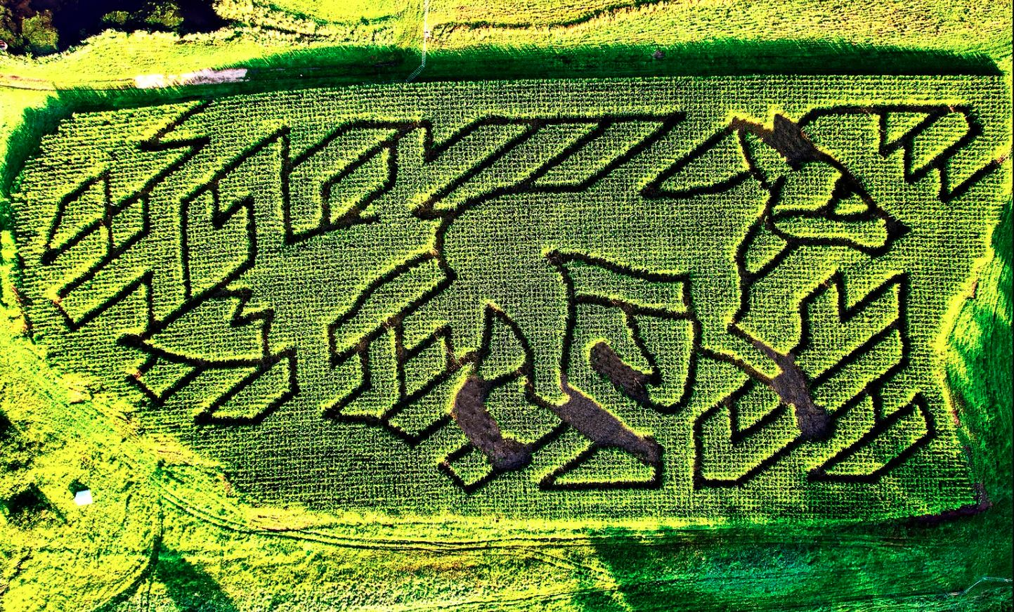 Win a Family Pass to the Corn Maze at Coppal House Farm