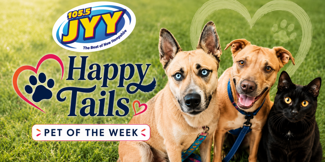 JYY Happy Tails: Pet Of The Week