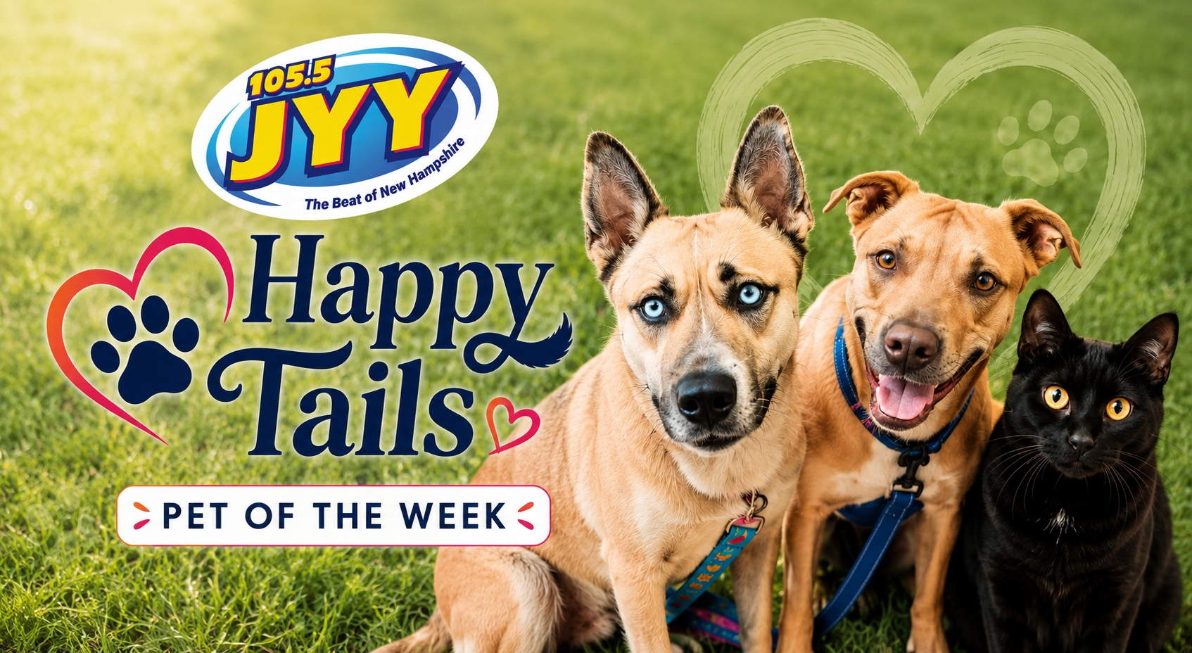 JYY Happy Tails: Pet Of The Week